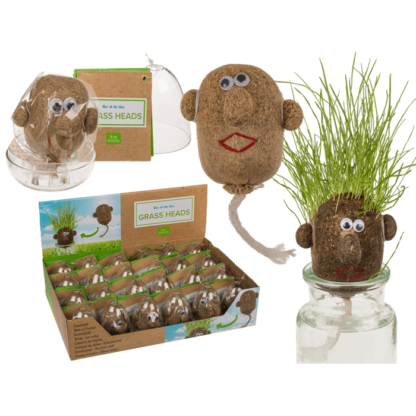 Grass head,