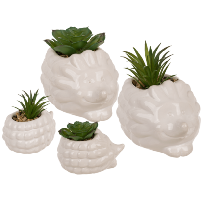 Deco succulent in flower pot, hedgehog,